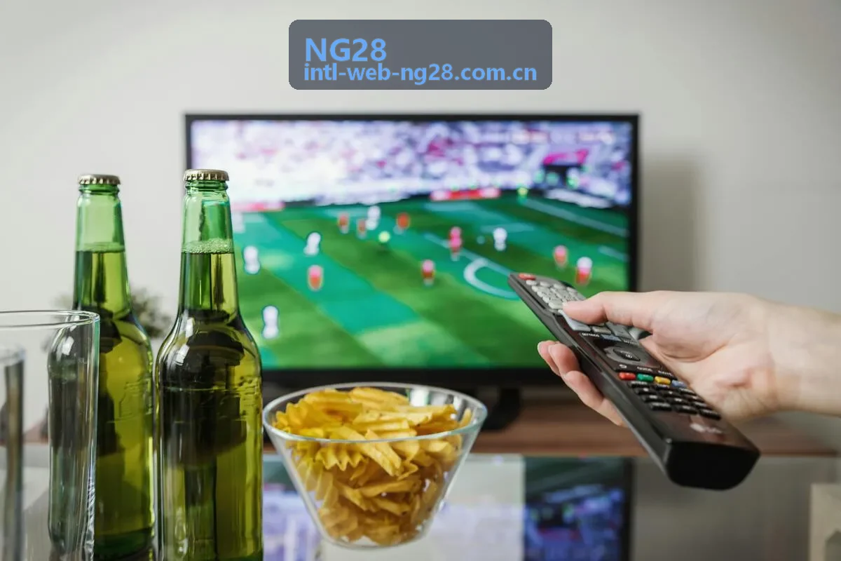 NG28竞技进阶攻略专题封面